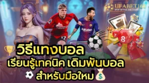 เว็บแทงหวย เปิดบริการแทงหวยหลากหลายประเภท เว็บเดียวครบ 2024 9 วิธีแทงบอล